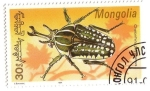 Stamps Mongolia -  Coleóptero