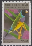 Stamps Africa - Guinea -  Gouldian Finch (Chloebia gouldiae