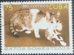Sellos del Mundo : America : Cuba : GATOS domesticos