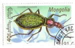 Sellos de Asia - Mongolia -  Coleóptero