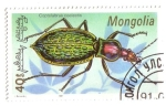 Stamps Mongolia -  Coleóptero