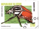 Sellos de Africa - Benin -  Coleóptero