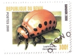 Stamps Benin -  Coleóptero