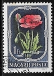 Stamps Hungary -  Flores - Papaver rhoeas