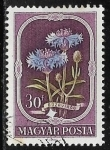 Stamps Hungary -  Flores - Centaurea cyanus