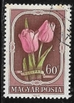Stamps Hungary -  Flores - Tulipan
