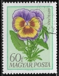 Stamps : Europe : Hungary :  Flores - Viola x wittrockiana