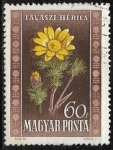 Stamps : Europe : Hungary :  Flores - Adonis vernalis