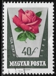 Stamps : Europe : Hungary :  Flores - rosas 