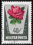 Stamps Hungary -  Flores - rosas 