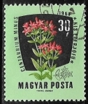 Stamps : Europe : Hungary :  Flores - Centaurium erythraea