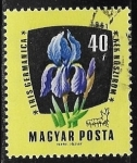 Stamps : Europe : Hungary :  Flores - Iris germanica