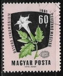 Stamps : Europe : Hungary :  Flores - Datura stramonium