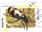 Stamps Benin -  Coleóptero