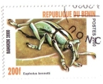 Stamps : Africa : Benin :  Coleóptero