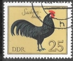 Stamps Europe - Germany -  aves