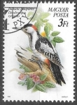 Stamps Europe - Hungary -  aves