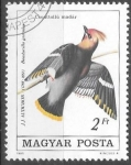 Stamps Europe - Hungary -  aves
