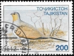 Stamps Asia - Tajikistan -  aves