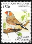 Stamps Togo -  aves
