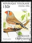 Sellos de Africa - Togo -  aves