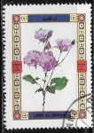 Stamps Asia - United Arab Emirates -  Flores - Rosas