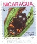 Stamps : America : Nicaragua :  Coleóptero