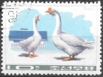 Stamps North Korea -  aves