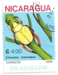 Stamps : America : Nicaragua :  Coleóptero