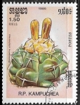 Stamps Cambodia -  Cactus - Discocactus silichromus