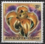 Stamps Africa - Rwanda -  Setas - Geaster 