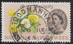 Stamps Europe - United Kingdom -  Flores - Apis sp.