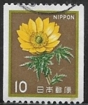 Stamps : Asia : Japan :  Flores - Adonis