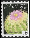 Stamps Spain -  Cactus