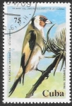 Stamps America - Cuba -  aves