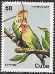 Stamps America - Cuba -  aves