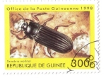 Sellos de Africa - Guinea -  Coleóptero