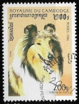 Sellos de Asia - Camboya -  Perros de raza -  Border Collie