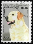 Stamps Cambodia -  Perros de raza -  Labrador Retriever