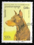Stamps Asia - Cambodia -  Perros de raza -  Doberman Pinscher