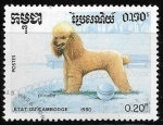 Stamps Asia - Cambodia -  perros - Poodle 