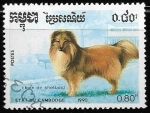 Stamps Asia - Cambodia -  perros - Shetland Sheepdog