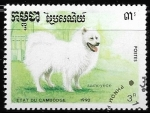Stamps Asia - Cambodia -  perros - Samoyed Dog
