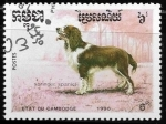 Stamps Cambodia -  Perros - Springer Spaniel