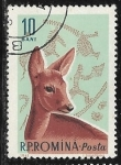 Stamps Europe - Romania -  Animales - Capreolus capreolus
