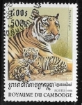  de Asia - Camboya -  Felinos - Panthera tigris