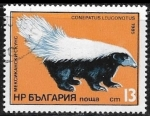Stamps Europe - Bulgaria -  Animales - Conepatus leuconotus