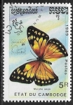 Stamps : Asia : Cambodia :  Mariposas - Morpho aega
