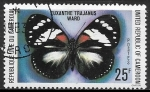 Stamps : Africa : Cameroon :  Mariposas - Euxanthe trajanus