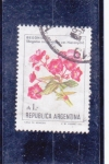 Stamps America - Argentina -  FLORES-Begonia